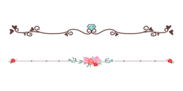 ˹ָ