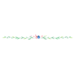 ָ