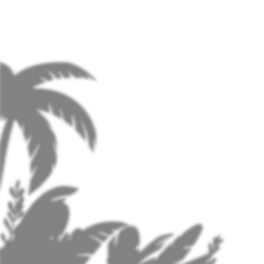 ݘ(sh)ľͶӰԪ