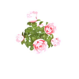 õ廨YƷb