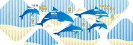 ӖWУĻ{ɫɫͨFĻ