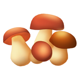 wɐĢ