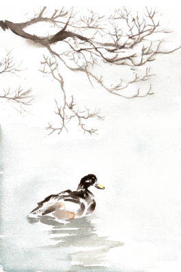 ֦µˮ
