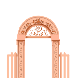 ιT