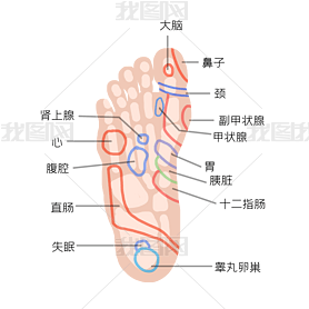 Ѩλ