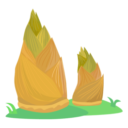 SֲʸD