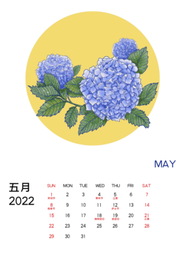 2022껢5v