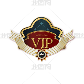 VIP΢ͼʶʸ