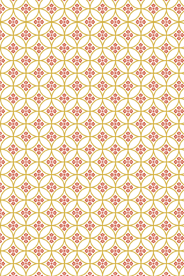 ŵʽ׼yy