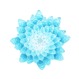 3Dˮy