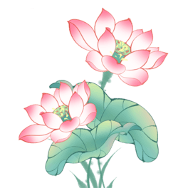 ЇLŹLĩĳʺɻ