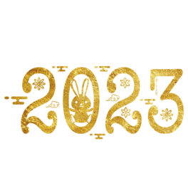 C2023ꔵ