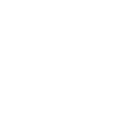 ξ10b