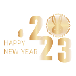 C2023wb