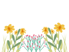 ջݲɫPֲ߅