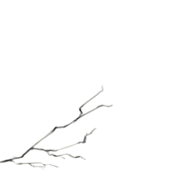 ˮīLˮ۴