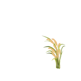 sZʳPЄˇg
