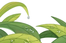 24¶GɫG~¶~ֲL宋