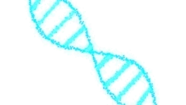 DNA{ɫƼЧ