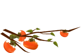 СѩˮӘ֦uҷ~ӄӈDgif
