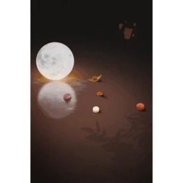 ﹝ˮQҕlӈDgif