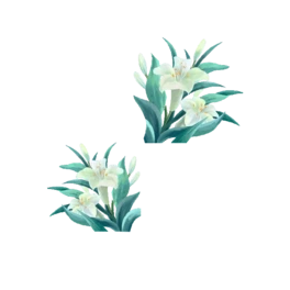 ˋDŮ(ji)38Ů(ji)ɫw(bio)}(dng)Dgif