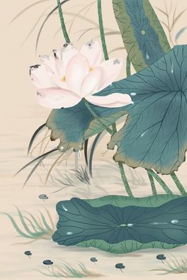 ɻ`宋