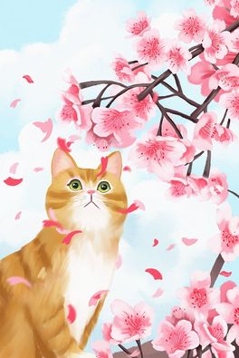 ѻ؈ѻɫ宋仨