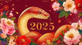 Lˇg(sh)ʽL(fng)2025ꮋĲ宋