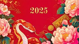 sʽL(fng)2025ꮋĲ宋