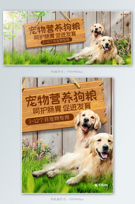 ƷGɫsbanner