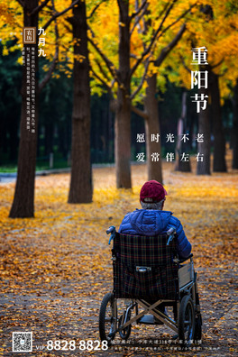 ꖹ݆ΘSɫs