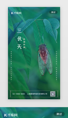 캣W퓺sGɫs