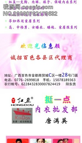 金盾保暖内衣_内衣美女(3)