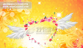 婚纱相册封面图片唯美_婚纱图片唯美