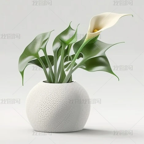 ˇgƷ3D㻨ģ8