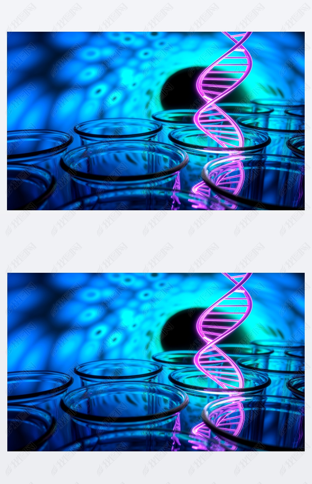 Թе˫ Dna  3d Ⱦ