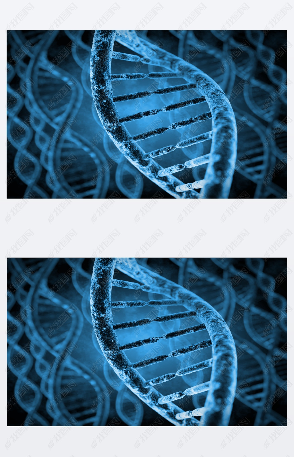 Dna ģ