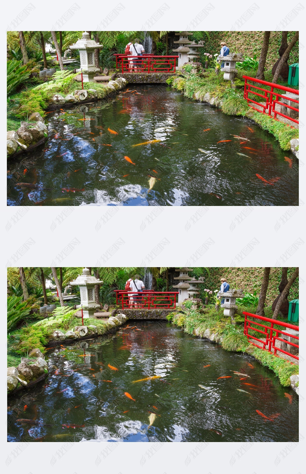 Lake with Koi fish in Tropical Garden Monte Palace. Funchal, Madeira, Portugal