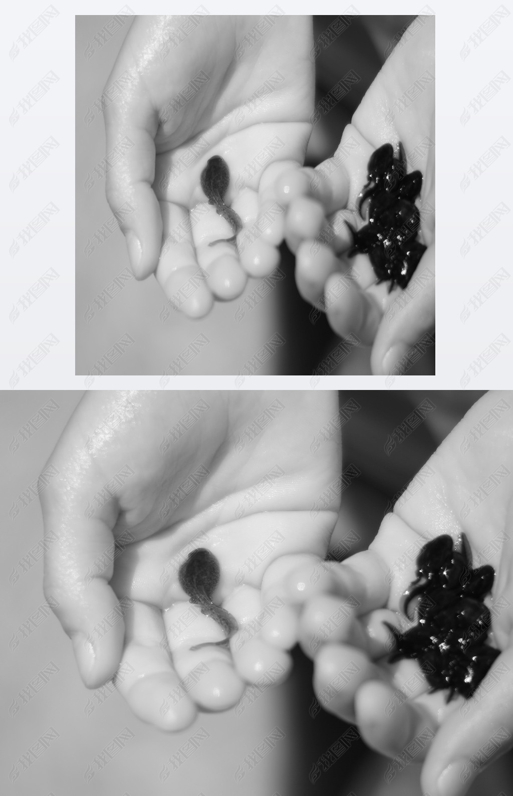 hand of child with many black tadpoles