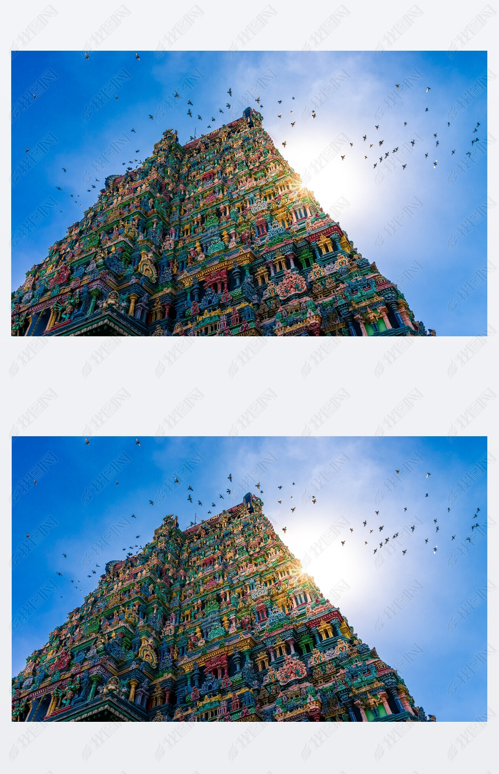 meenakshi ̩׶ɵ°ӡȵ