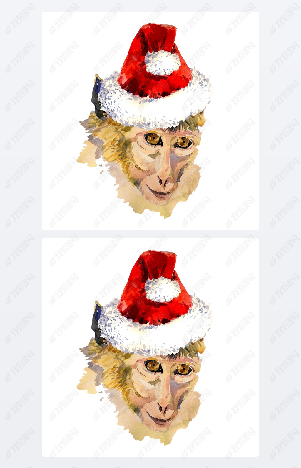 Monkey king portrait in a cool Christmas hat