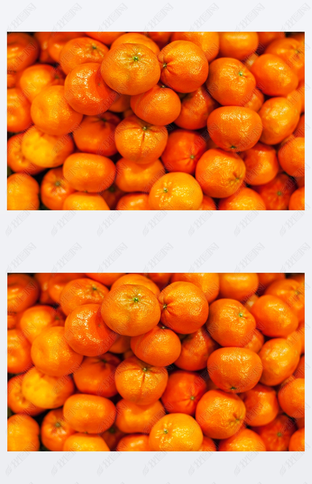  ɫлĹгϡջĸ clementines