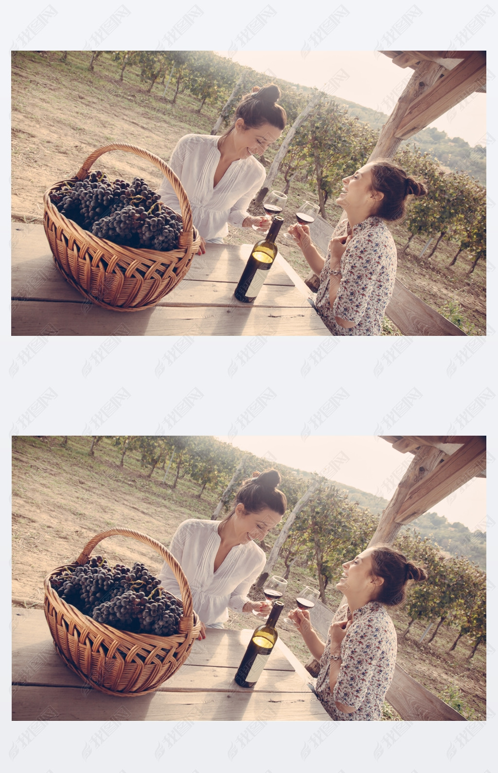 Two Cheerful Female Drinking Wine