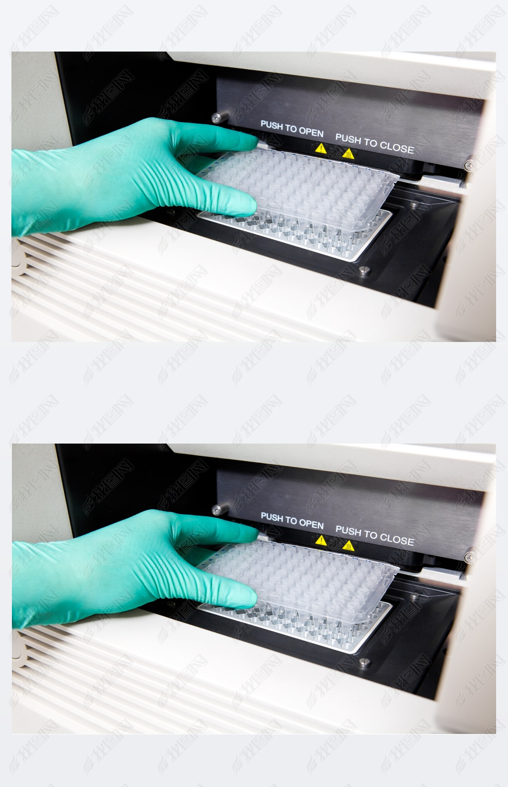 ɫס  pcr ѭ dna ơ 