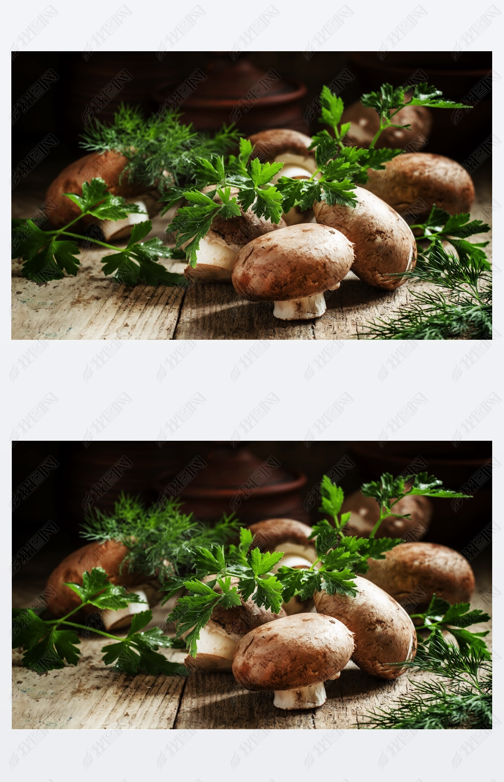 Royal brown mushrooms with a sprig of parsley and dill 