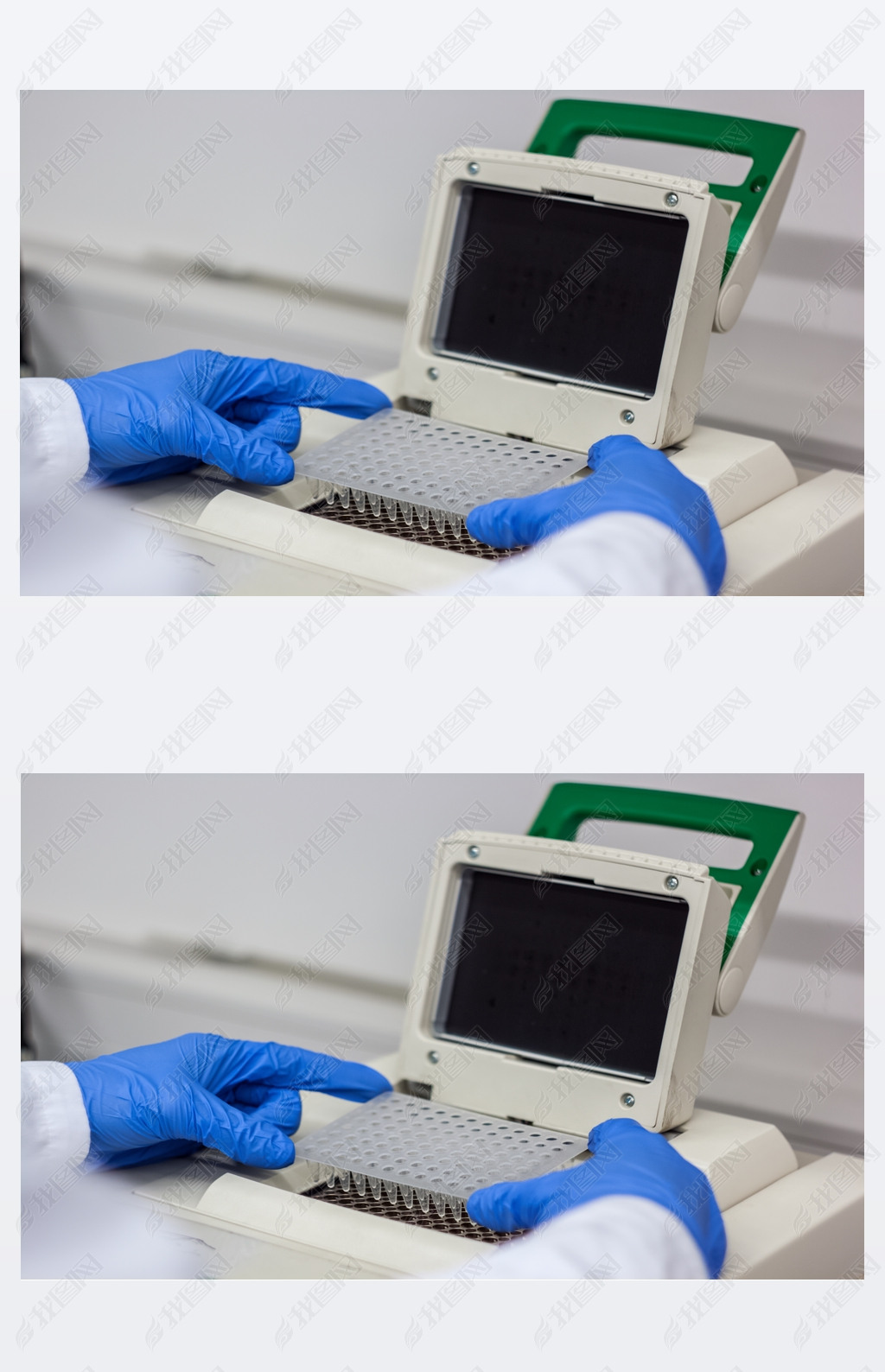 ѧһоԱʿ pcr dna  