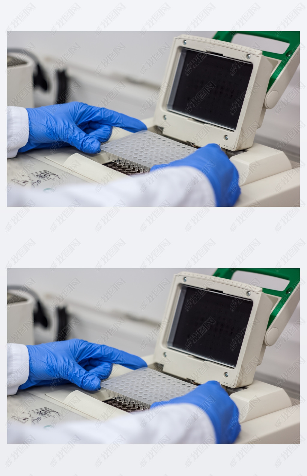 ѧһоԱʿ pcr dna  