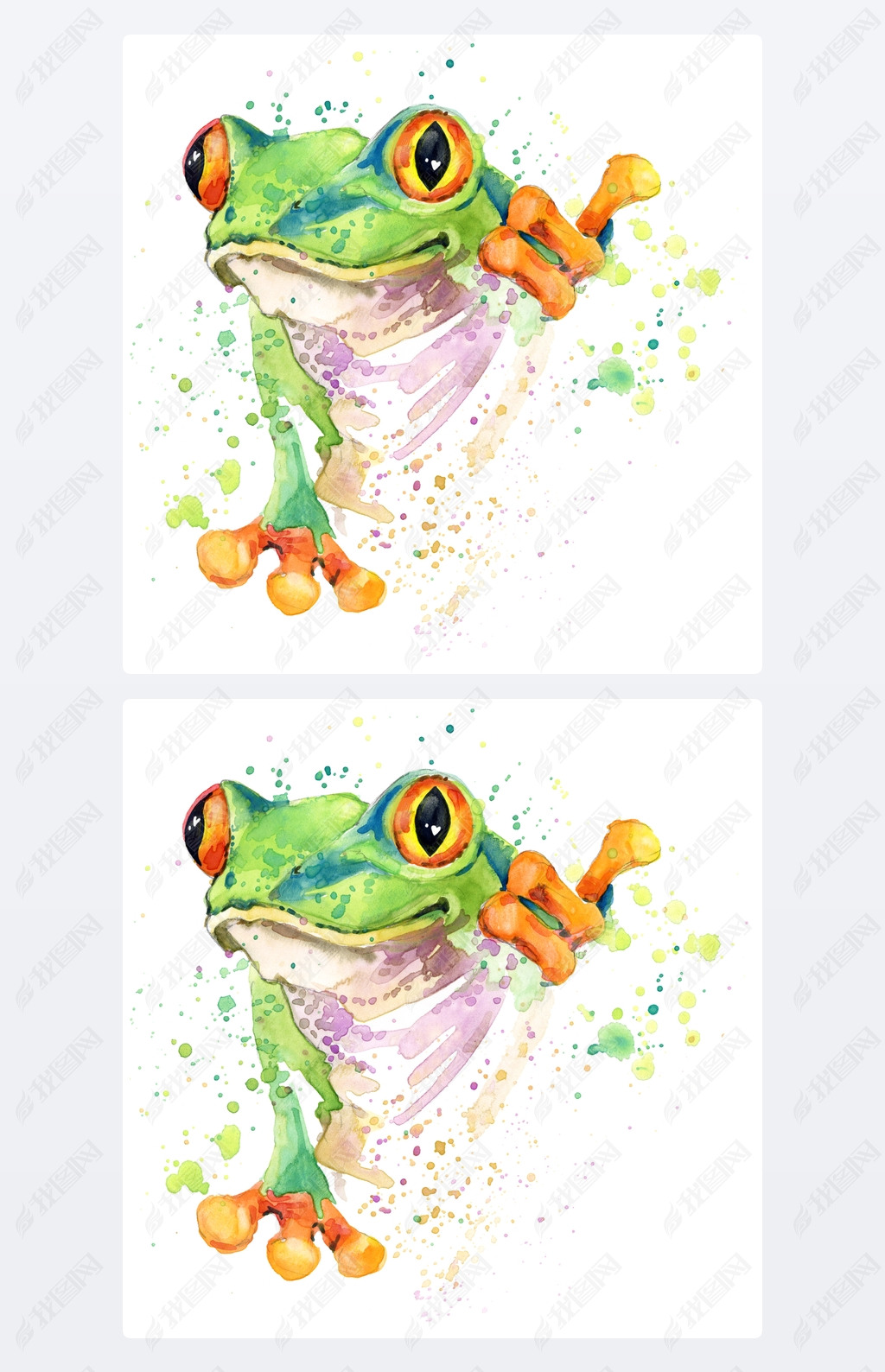 Funny frog T-shirt graphics. frog illustration with splash watercolor textured background. unusual i