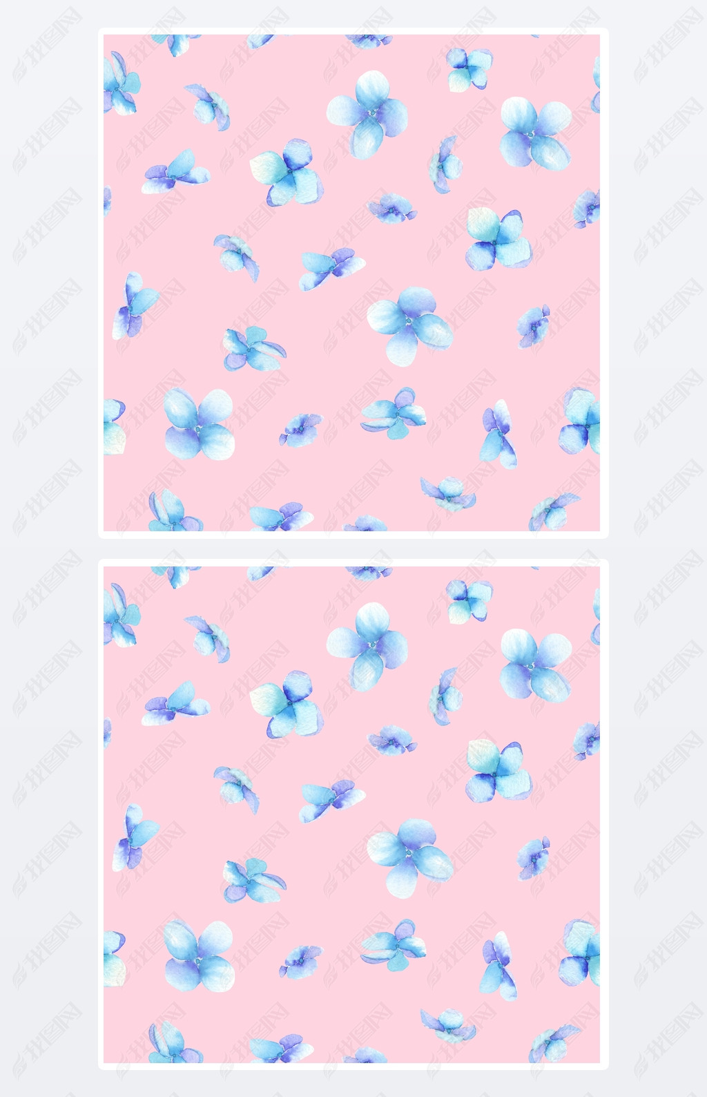 A seamless pattern with the blue flowers (Myosotis), painted in a watercolor on a pink background